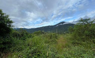 Terreno en venta en Zamora