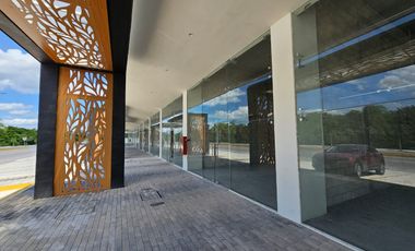 Local Comercial en venta en Playa del Carmen