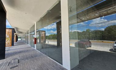 Local Comercial en venta en Playa del Carmen