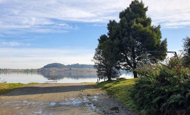PARCELA, AVELLANOS DE TRAPEN, PUERTO MONTT
