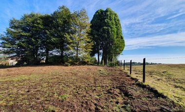 PARCELA, AVELLANOS DE TRAPEN, PUERTO MONTT