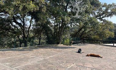 HERMOSA Y PRIVADA FINCA ECUESTRE EN GRAN RESERVA!!!