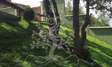 HERMOSA Y PRIVADA FINCA ECUESTRE EN GRAN RESERVA!!!