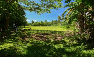 Land for sale in Guia, Pandan, Antique, Philippines