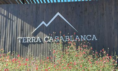 ¡Últimas unidades disponibles en Terra Casablanca! Parcelas de 5.000 m² cerca de Ruta 68