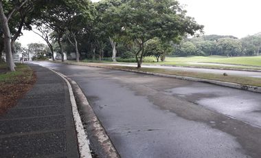 South Facing Vacant Lot For Sale Inside Manila Southwoods Residential Estate Near Southwoods Exit