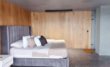 PR18774 Apartamento Amoblado en arriendo en el sector San Lucas