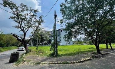 For Sale: Very Prime Corner Vacant Lot across SM Fairview