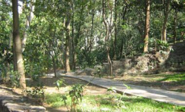 VENDO DEPARTAMENTO EN RESIDENCIAL QUINTA DEL BOSQUE EN CUERNAVACA, MORELOS.