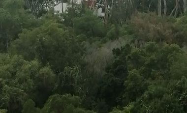 VENDO DEPARTAMENTO EN RESIDENCIAL QUINTA DEL BOSQUE EN CUERNAVACA, MORELOS.
