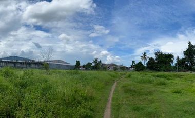 For Sale Pre-Selling One Storey Loftable House near Highway in Minglanilla, Cebu