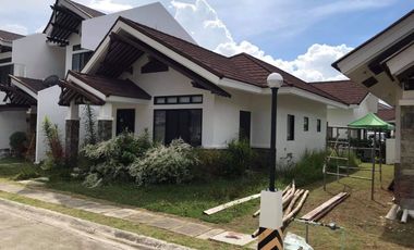 ARGAO ROYAL PALMS 1 Storey Single Detached House in Argao Cebu