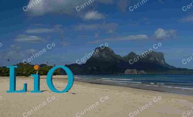 1,290sqm FOR SALE COMMERCIAL AND RESIDENTIAL LOT for Sale in El Nido, Palawan LIO