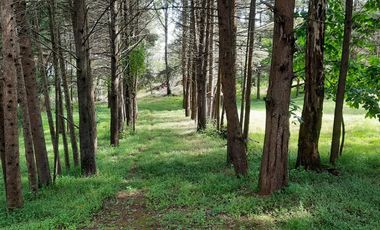 CASA CON TERRENO EN ERONGARICUARO MICHOACAN CERCA DE PATZCUARO