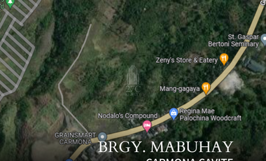 2 Lots for Sale in Brgy. Mabuhay, Carmona Cavite