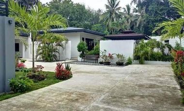 Super Spacious house with a very huge extra lot for sale in Panglao