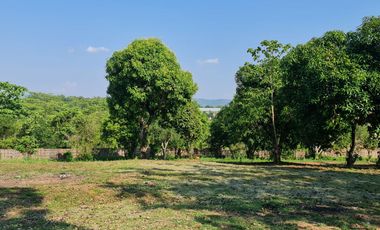 Elite Land Opportunities – Limited Plots, Grab Yours Today!