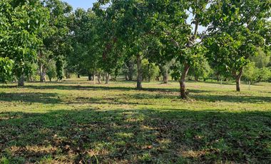 Elite Land Opportunities – Limited Plots, Grab Yours Today!