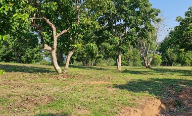 Elite Land Opportunities – Limited Plots, Grab Yours Today!