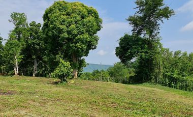 Elite Land Opportunities – Limited Plots, Grab Yours Today!