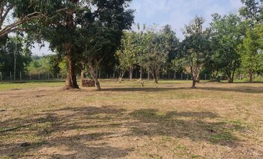 Elite Land Opportunities – Limited Plots, Grab Yours Today!