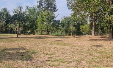 Elite Land Opportunities – Limited Plots, Grab Yours Today!