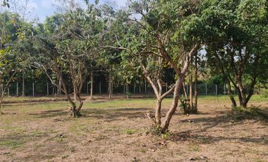 Elite Land Opportunities – Limited Plots, Grab Yours Today!