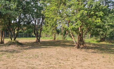 Elite Land Opportunities – Limited Plots, Grab Yours Today!