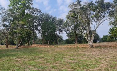 Elite Land Opportunities – Limited Plots, Grab Yours Today!