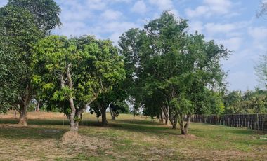 Elite Land Opportunities – Limited Plots, Grab Yours Today!