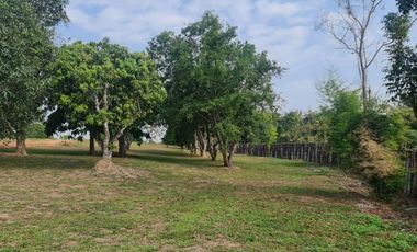 Elite Land Opportunities – Limited Plots, Grab Yours Today!