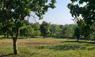 Elite Land Opportunities – Limited Plots, Grab Yours Today!