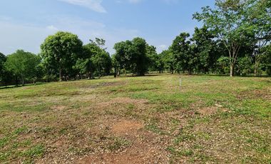 Elite Land Opportunities – Limited Plots, Grab Yours Today!
