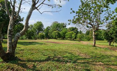 Elite Land Opportunities – Limited Plots, Grab Yours Today!