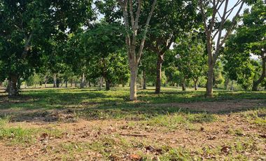 Elite Land Opportunities – Limited Plots, Grab Yours Today!