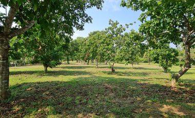 Elite Land Opportunities – Limited Plots, Grab Yours Today!