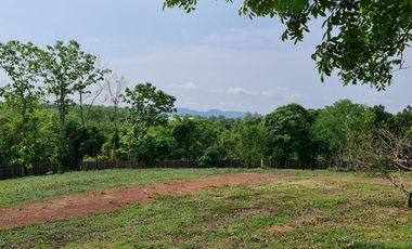 Elite Land Opportunities – Limited Plots, Grab Yours Today!