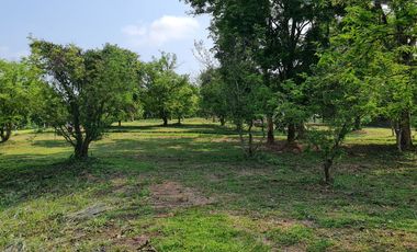 Elite Land Opportunities – Limited Plots, Grab Yours Today!