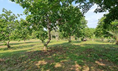 Elite Land Opportunities – Limited Plots, Grab Yours Today!