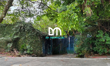 For Sale: Residential Vacant Lot in Heroes Hill Subdivision, Quezon City