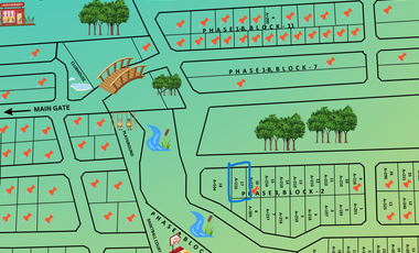 210 Sqm. Subdivision Lot for Sale in Urdaneta City