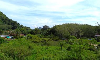 4 rai of flat land with mountain views near the city center for sale in Ao Nang, Krabi.