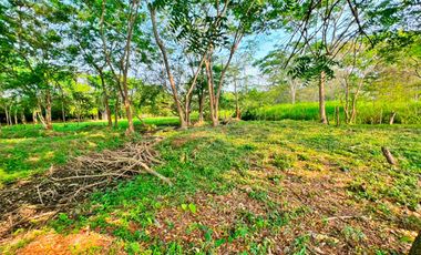 VENTA DE LOTE EN EL SECTOR DE PALMA VERDE EN MONTERÍA
