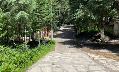 Preventa casa de campo: ¡Tu Refugio en el Corazón del Bosque!