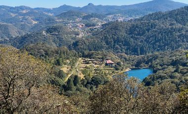 Preventa casa de campo: ¡Tu Refugio en el Corazón del Bosque!