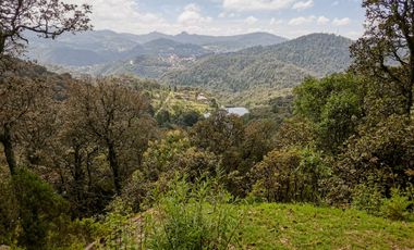 Preventa casa de campo: ¡Tu Refugio en el Corazón del Bosque!