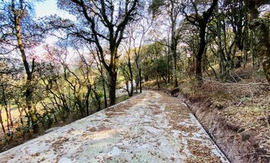 Preventa casa de campo: ¡Tu Refugio en el Corazón del Bosque!