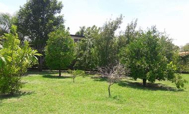 QUINTA CAMPESTRE EN LAS CAROLINAS CADEREYTE JIMENEZ