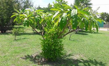 QUINTA CAMPESTRE EN LAS CAROLINAS CADEREYTE JIMENEZ