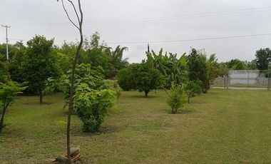 QUINTA CAMPESTRE EN LAS CAROLINAS CADEREYTE JIMENEZ